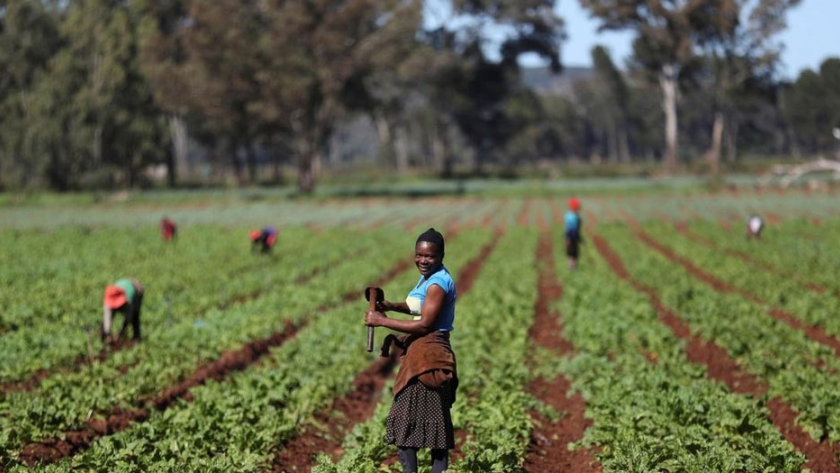 Sudáfrica: los resultados del PIB del tercer trimestre confirman que la agricultura sigue brillando