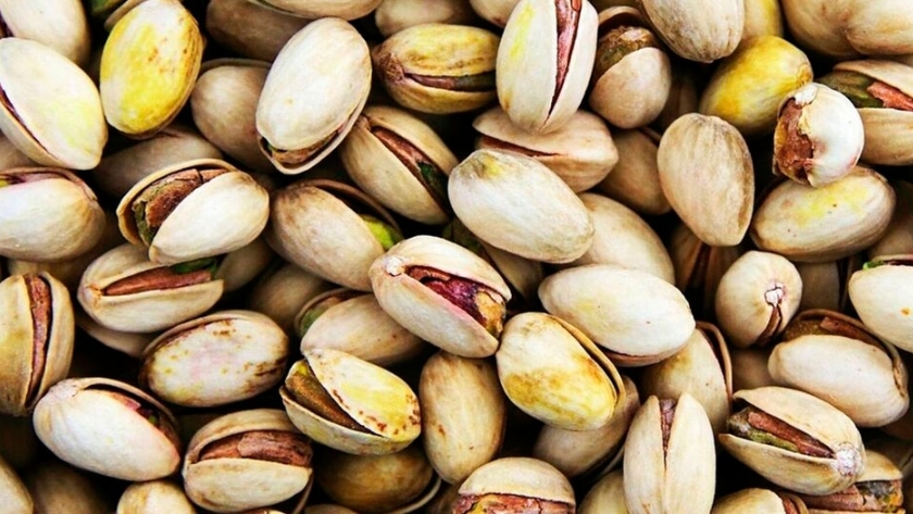 Solfrut se reinventa de cara al futuro