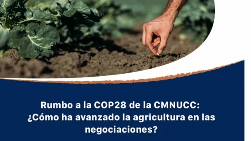En ruta a la COP28, países de las Américas aumentan implementación de medidas de mitigación y adaptación de la agricultura al cambio climático, consideran especialistas convocados por el IICA