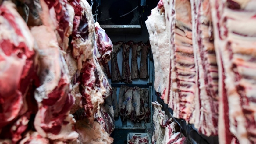 Estados Unidos emerge como nuevo competidor en exportaciones de carne vacuna argentina