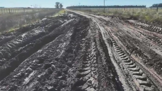 La Justicia exige transparencia en Baradero y ordena detallar el uso de la tasa vial tras reclamos rurales