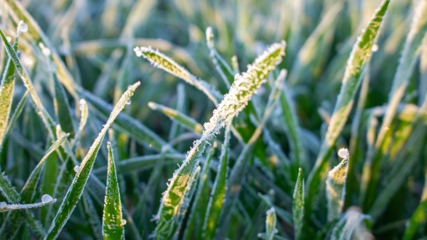 El invierno de 2024: uno de los más fríos en décadas