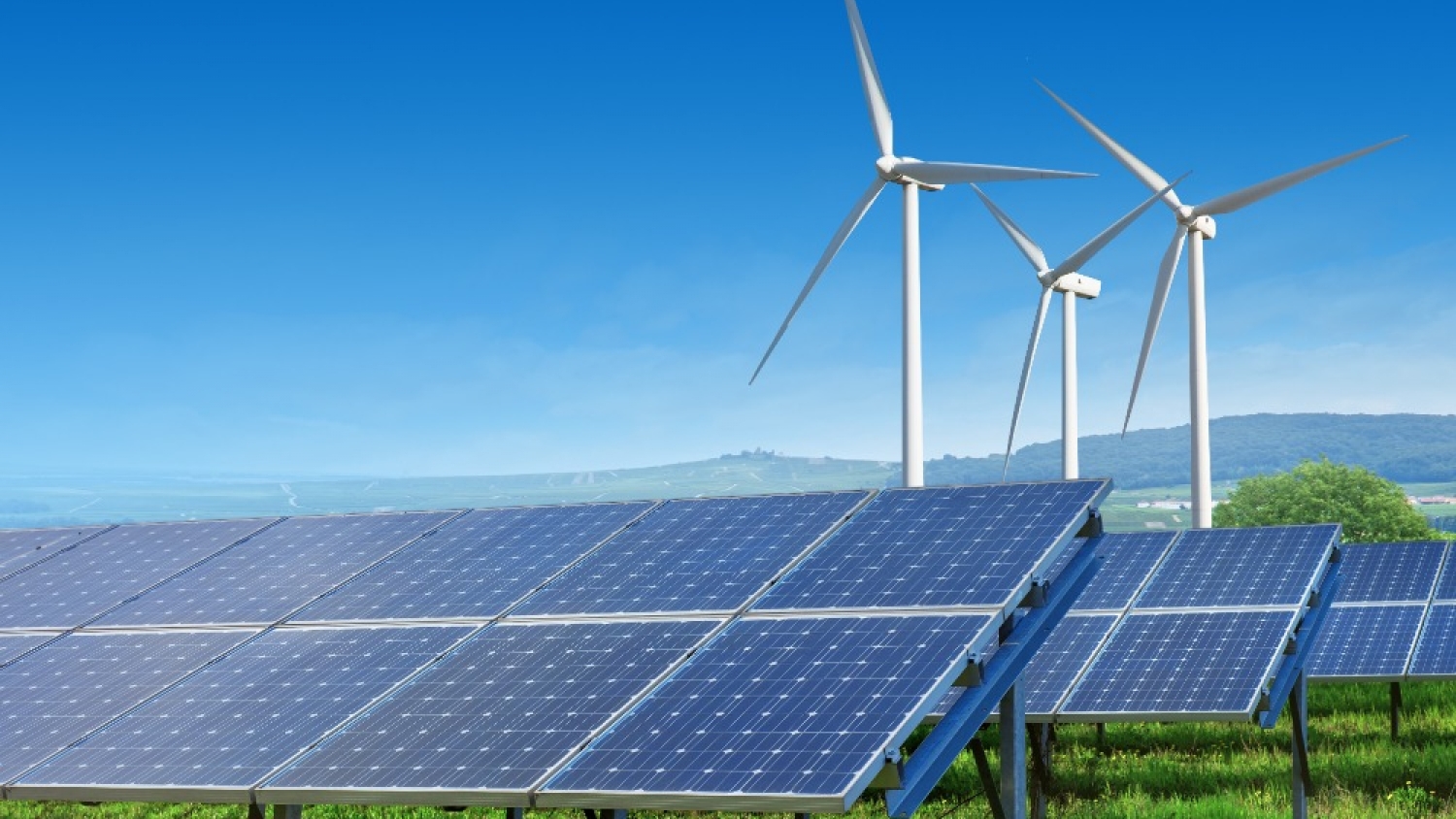 Récord de energía solar y eólica en Turquía: cuánto generó en agosto