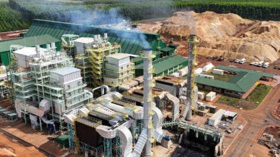 Inauguran la segunda central térmica de biomasa forestal del Grupo Insud en Virasoro