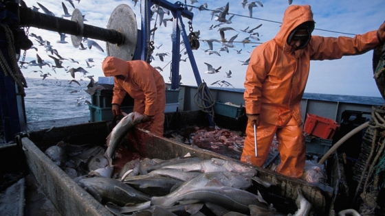 Se conformó la Unidad de Coordinación de Certificación de Capturas y Exportaciones pesqueras