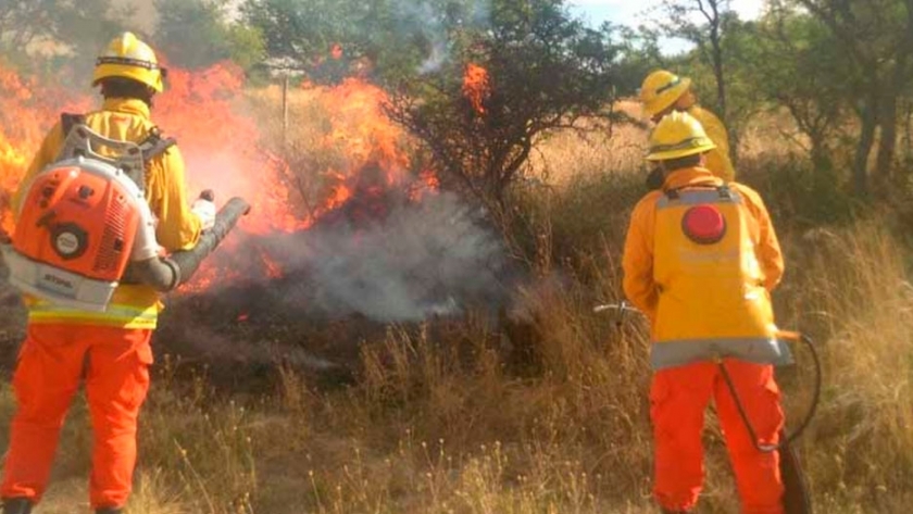Recomendaciones del Ministerio de Ambiente para evitar incendios forestalesvitar incendios forestales