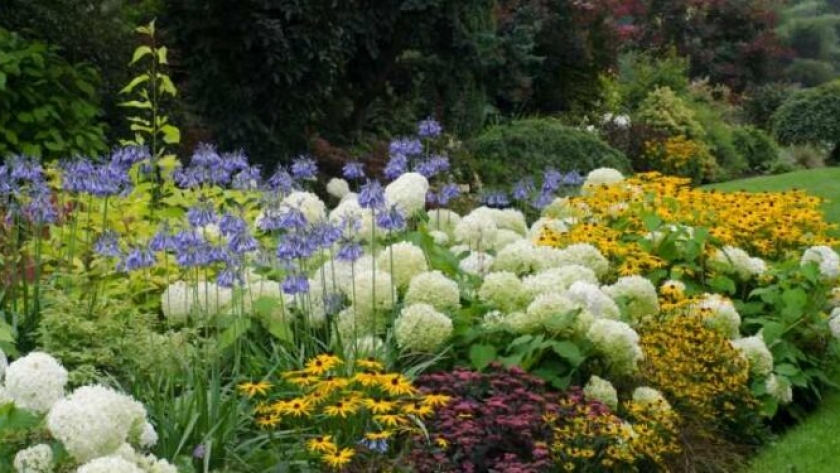 8 flores para ponerle color a tu jardín en invierno