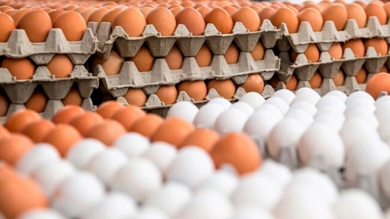Por la crisis del sector avícola, avisan al gobierno que podrían perderse 2.000 puestos de trabajo para marzo del 2021