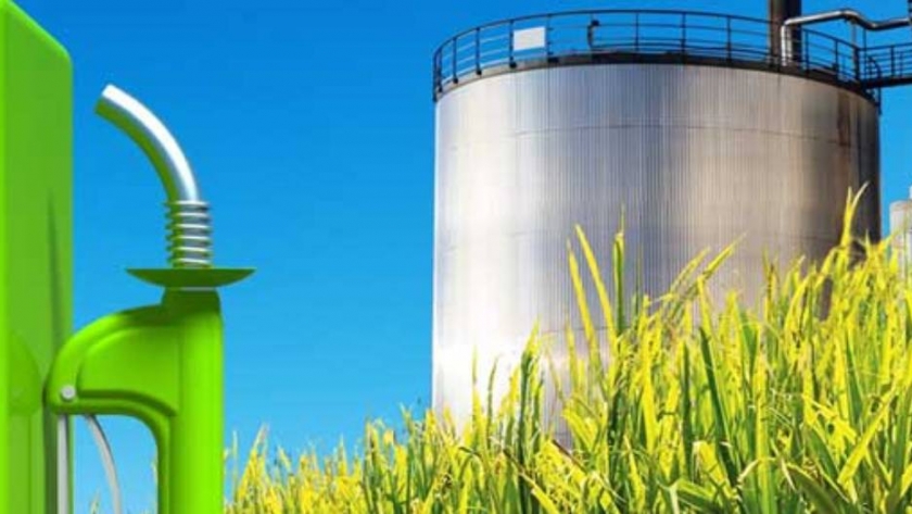 Biocombustibles: urge la sanción de una nueva ley