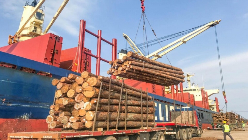China es un importante comprador de madera argentina