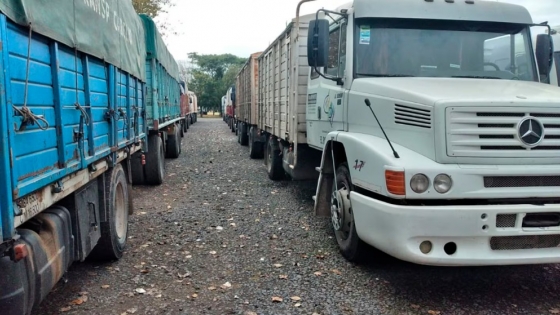 Beneficios fiscales para transportistas que conectan el campo con los mercados: énfasis en la leche