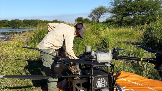 Drones agrícolas: alertan por la capacitación y la seguridad