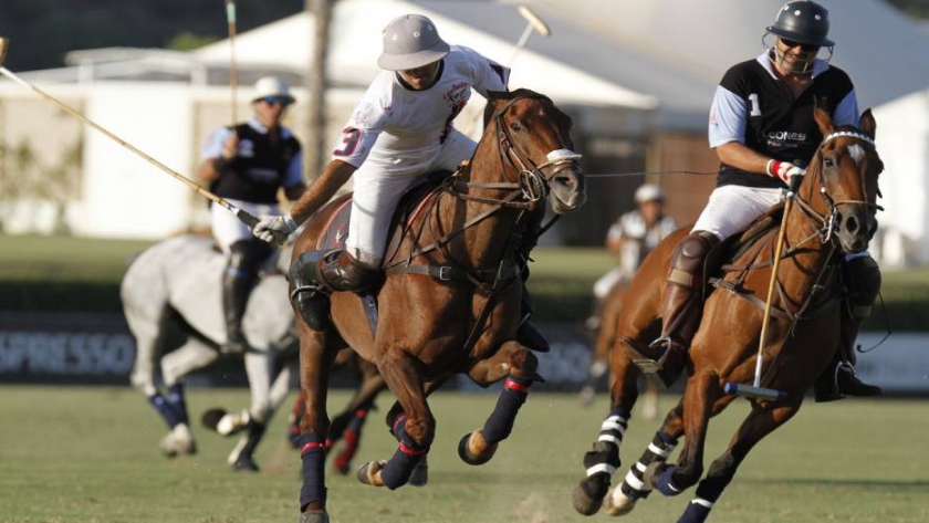 La Argentina es el cuarto productor mundial de caballos de élite