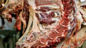 Frigoríficos regionales reclaman reforma impositiva para blanquear el comercio de carne