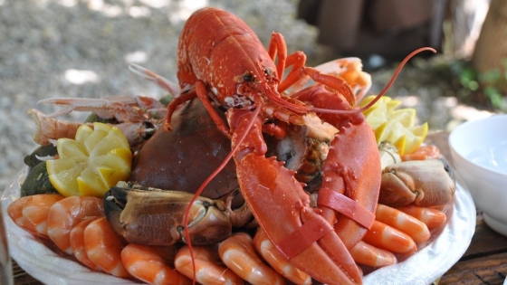 <Los crustáceos: del mar a la mesa