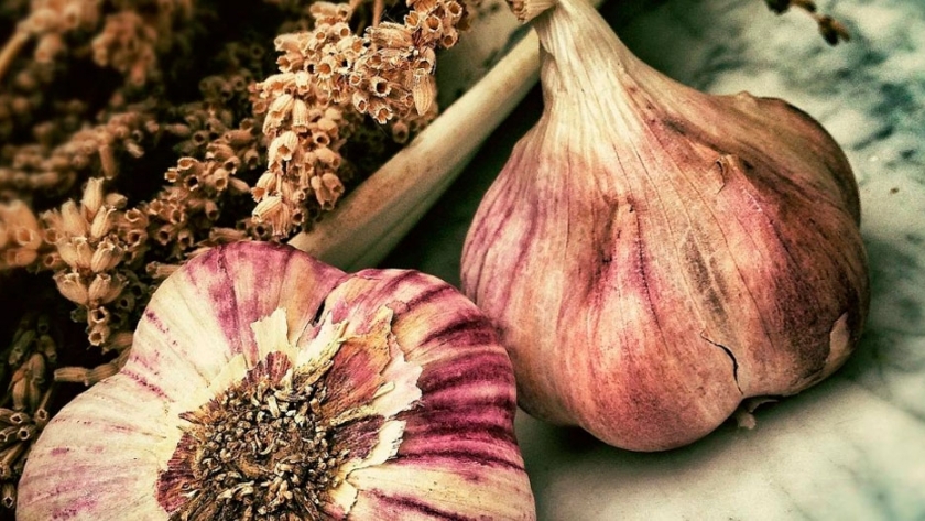 Ajo como repelente Natural