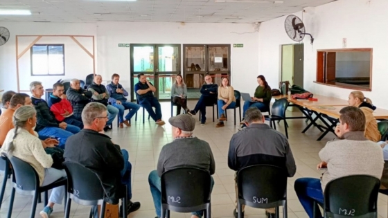 Misiones fija precio garantía del brote de té y lanza beneficios para la nueva zafra 2025/2026