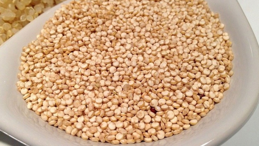 Quinoa, el grano madre