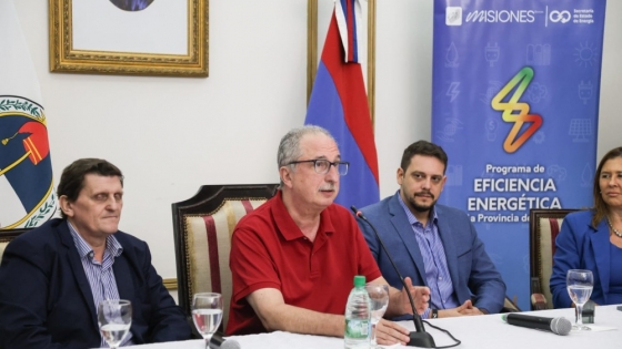 Misiones impulsa una obra eléctrica estratégica para destrabar inversiones industriales en la zona centro