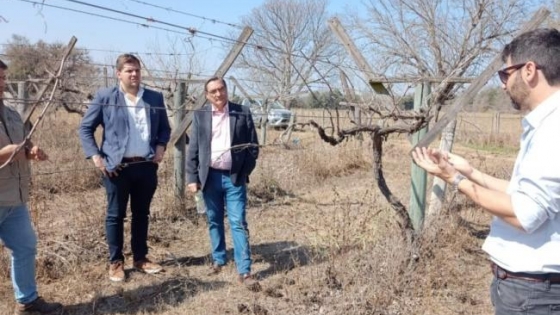 Simón Padrós visitó a emprendedores viticultores de Trancas, provincia de Tucumán