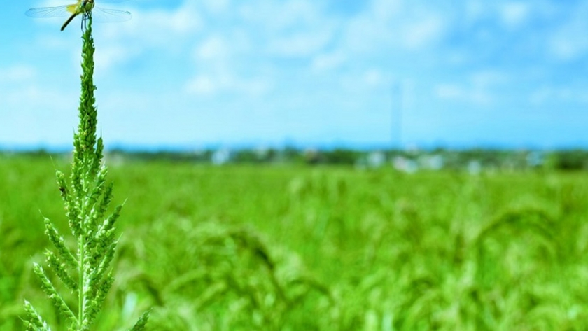 Promueven el diálogo regional sobre producción sostenible
