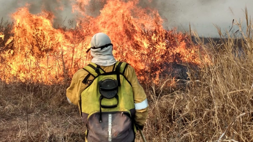 Continúan las tareas de combate del fuego en zonas del Delta del Paraná