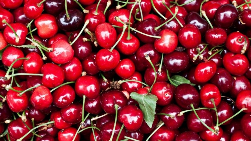 Producción de cerezas en Argentina: el dulce éxito de una industria en crecimiento