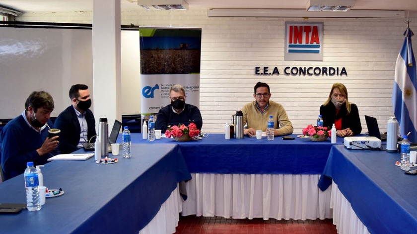 Se consolida la mesa citrícola con todos los actores del sector