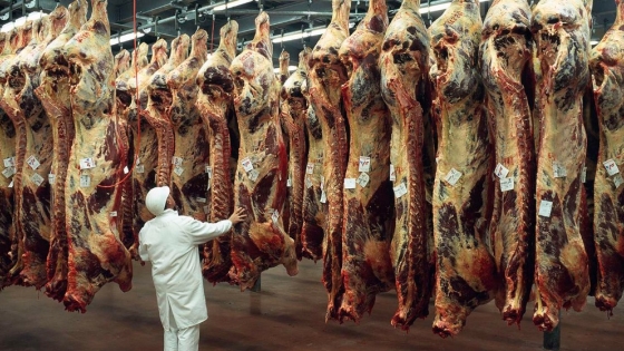 Exportación de carnes: el campo debate medidas en caso de que no se levante el cepo