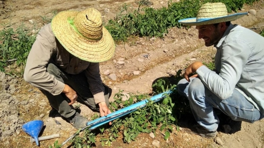 Llaman a inscripción para la Diplomatura en Riego y Fertilización para la prestación de servicios