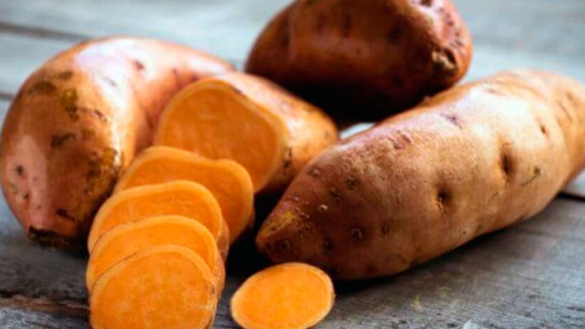 Boniato o batata zanahoria, el cultivo típico de Uruguay que es cada vez más tendencia en Argentina