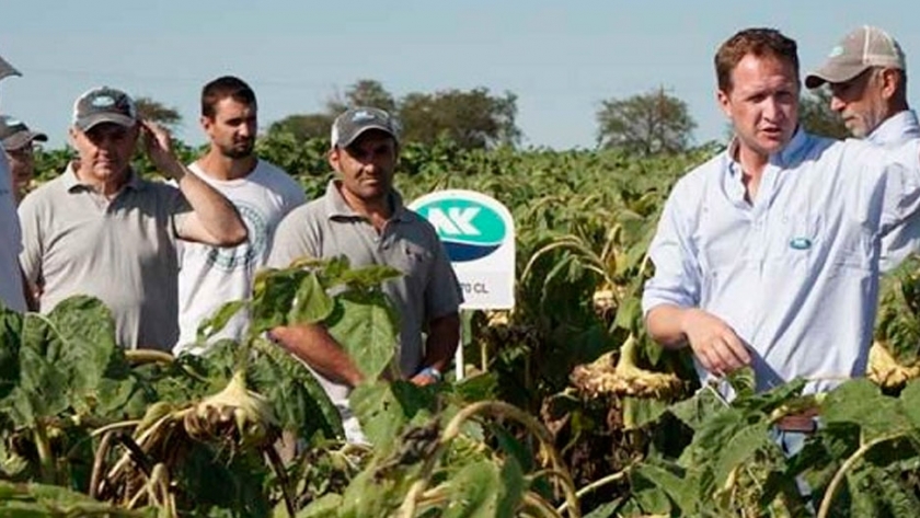 NK se presentó en Expoagro en un regreso marcado por la innovación