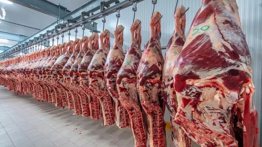 Argentina alcanza un récord histórico en exportación de carne vacuna después de 100 años