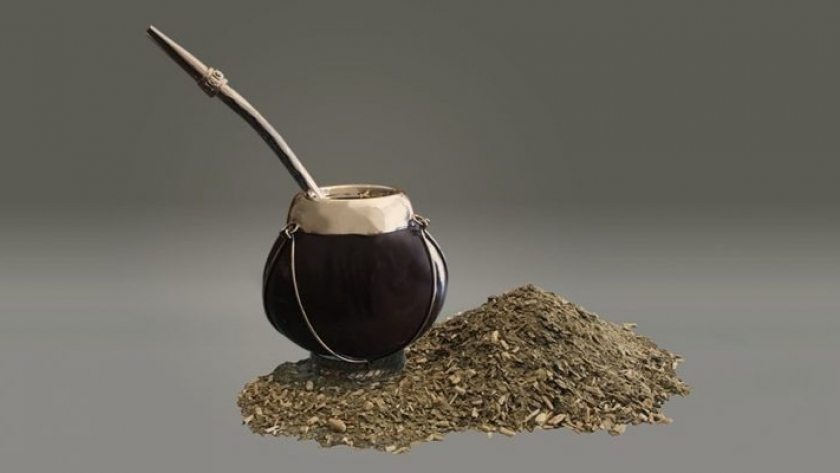 Especialistas del CONICET descifraron el genoma de la yerba mate