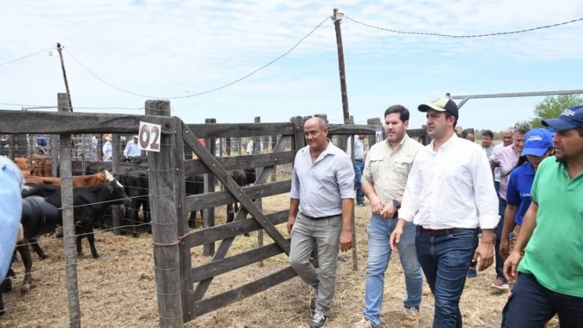 Feria ganadera en Laguna Blanca impulsa la producción paippera y consolida el modelo productivo provincial