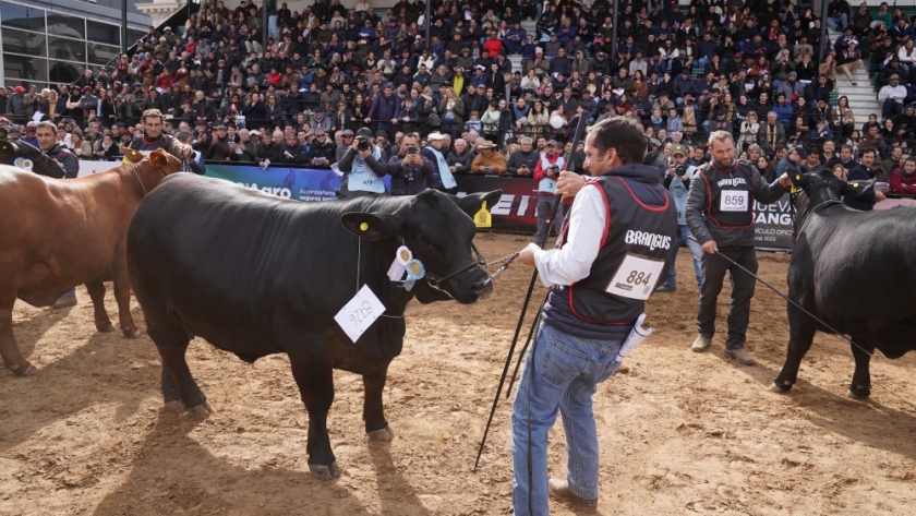 Exposición Rural 2024: agenda, precios y detalles del gran encuentro agropecuario en Palermo