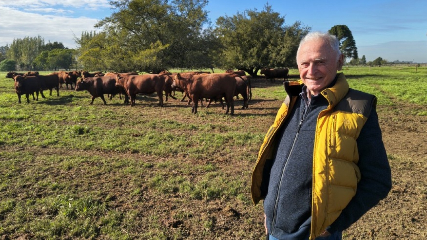 De criar Angus tradicionales a producir genética para mercados premium