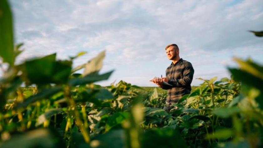 Productores agropecuarios: se ven tan mal en el presente como en el futuro