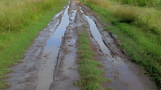 Mejoras en el estado de los caminos rurales de Buenos Aires