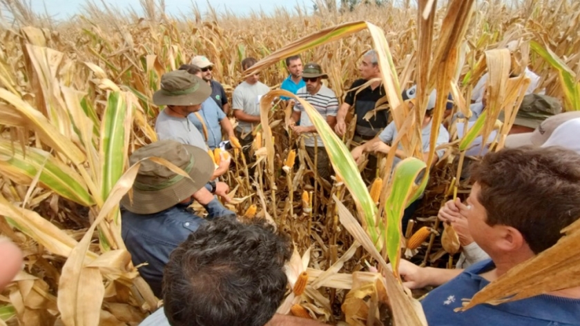 Productores “digitalizados