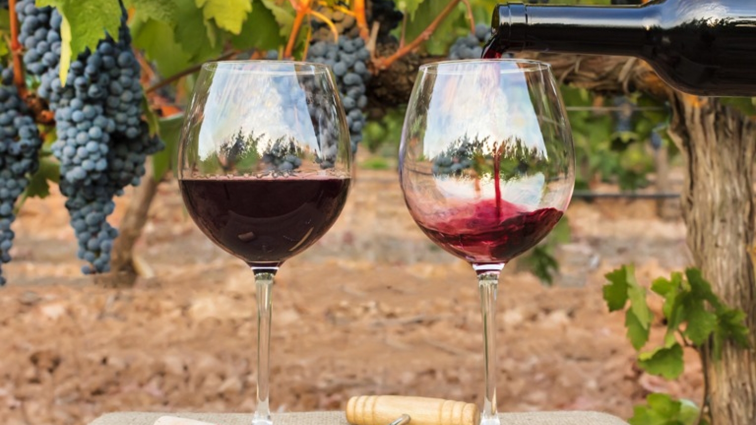 Ventas de vino: diciembre cerró con una fuerte recuperación impulsada por Mendoza