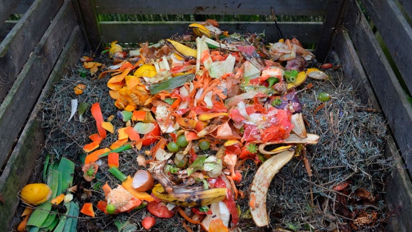 Qué debes saber para lograr un buen compost