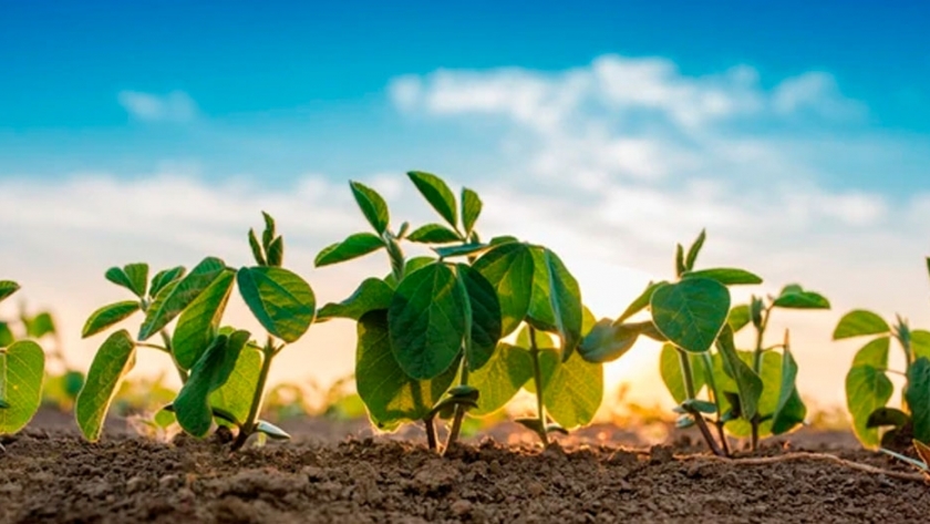 Taller "Agrotecnología: Hay ciencia en tu comida"