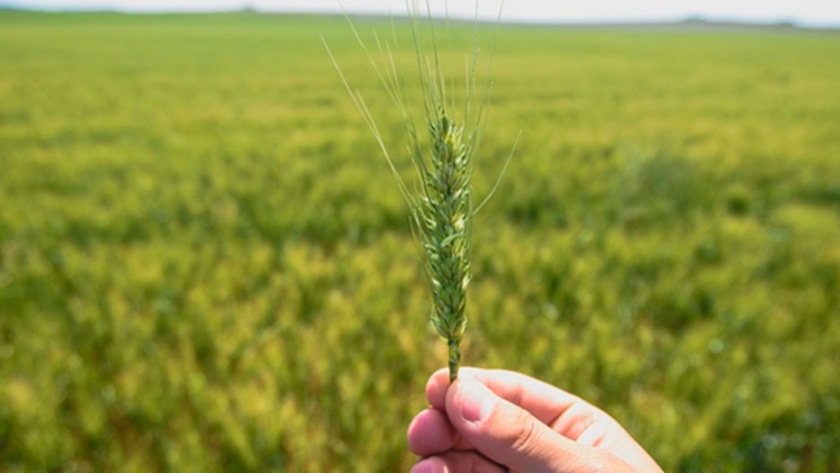 Lanzaron un fondo multipropósito para invertir en el campo