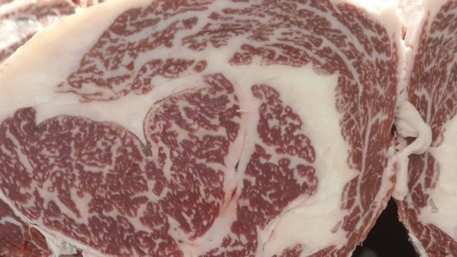Cómo Rioplatense avanza con su propio rodeo de carne Wagyu