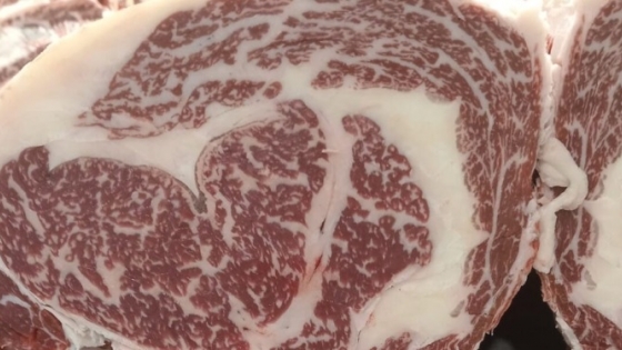 Cómo Rioplatense avanza con su propio rodeo de carne Wagyu