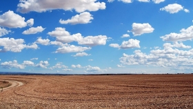 Altas temperaturas y lluvias escasas complican la región agrícola en la última semana de febrero