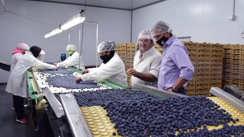 La Provincia aporta proyectos al Plan Federal de Desarrollo Productivo