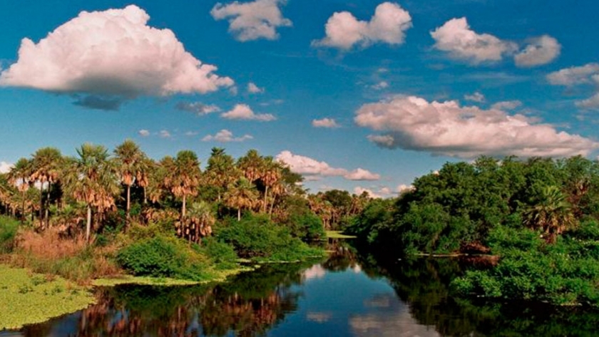 Paraguay obtiene cooperación de US$ 8 millones para conservación del Pantanal