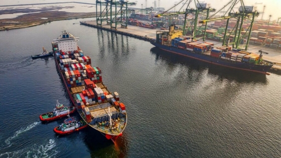<Chile: alza de 25% en las tarifas de flete marítimo golpea a la industria de la fruta